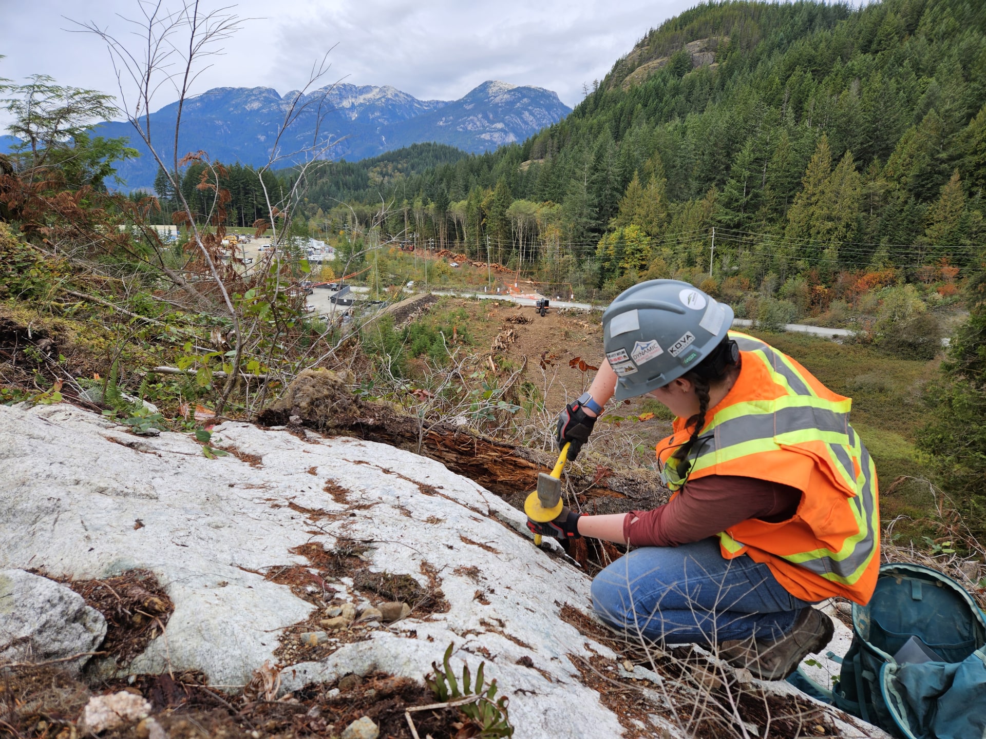 The importance of ML/ARD assessment and management